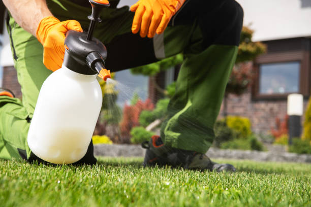 Best Best Pest Control Companies  in Burlington, CO