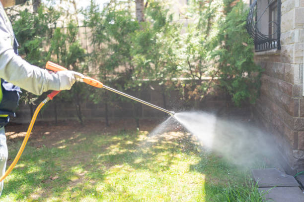 Flea Control Services in Burlington, CO