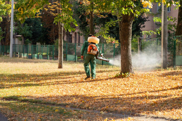 Best Mosquito Control Services  in Burlington, CO