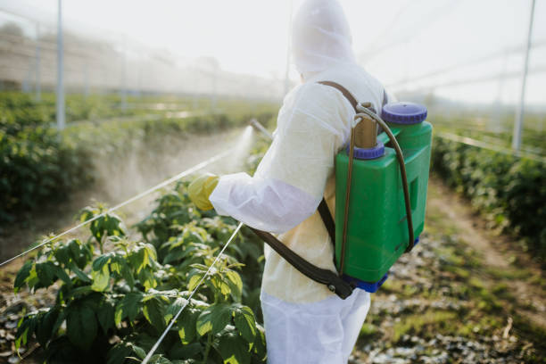 Best Emergency Pest Control  in Burlington, CO